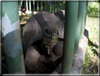 foto Flora e la Fauna alle Seychelles